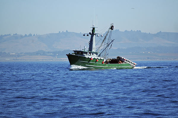 At sea — marine navigation